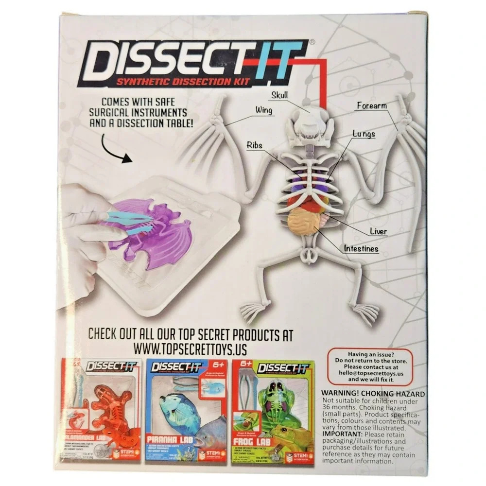 Dissect It Synthetic Dissection‎ Kit - Bat Lab